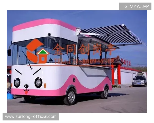 尊龙网站人生就是博：结合游戏策略理解人生中的机遇与挑战