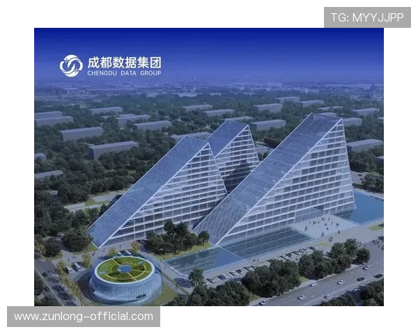 尊龙集团官网登录安全措施及多重验证保障用户信息